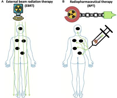 Immunological effects of radiopharmaceutical therapy